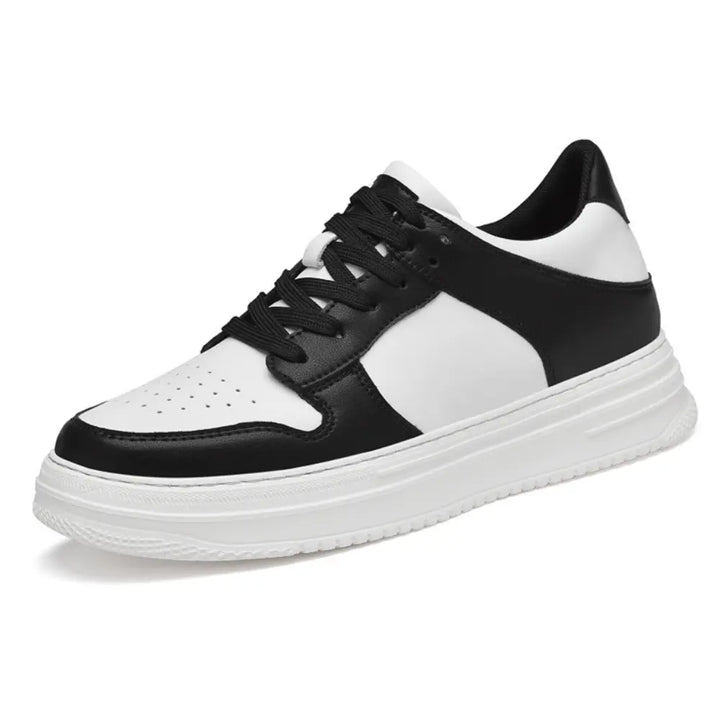 Dexter (3'' Økning)